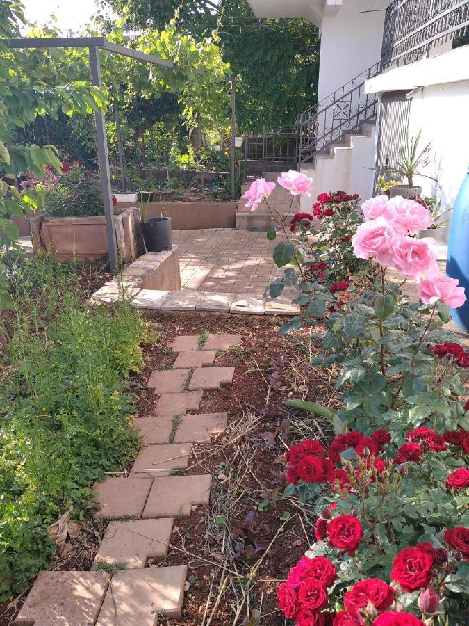 Aparttoni Dobra Voda Kültér fotó